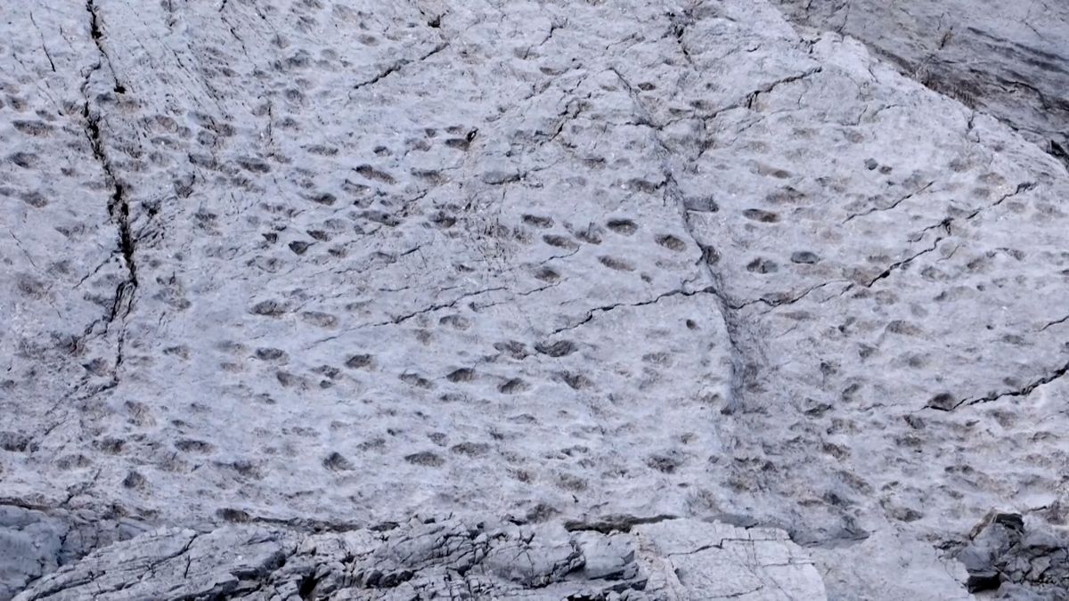 Dinosauři v srdci Alp. Tisíce stop odhalují pravěkou minulost Itálie